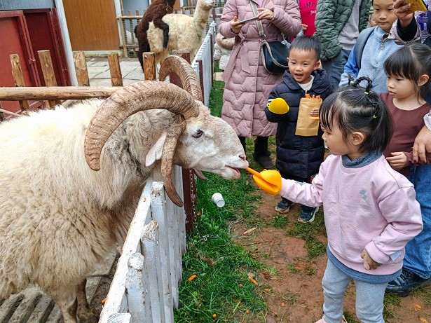 昆明拓展培训基地