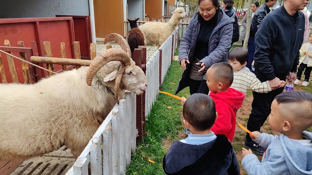 昆明拓展培训基地